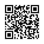132117RP QRCode