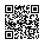 132135RP QRCode