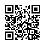 132163 QRCode