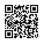 132168SS QRCode