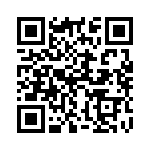 132169RP QRCode