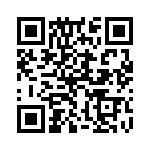 132172RP-RP QRCode