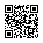 132172RP QRCode