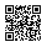 132217 QRCode