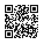 132239RP QRCode