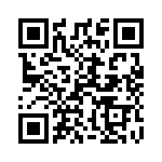 132255-12 QRCode