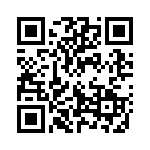 132286RP QRCode