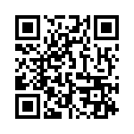 132401 QRCode