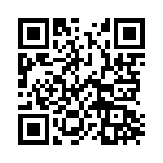 132413 QRCode
