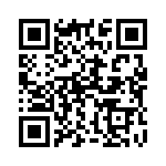 132453 QRCode