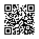 132P9505 QRCode