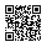 133017-3 QRCode