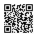 1331-333H QRCode