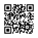 13391-1 QRCode