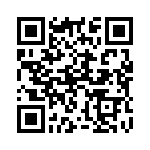 13445A QRCode