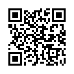 13AT272-T2-A QRCode