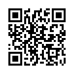 13AT4-S QRCode