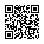 13AT401-T2 QRCode