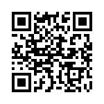 13AT96-T QRCode