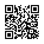 13R333C QRCode