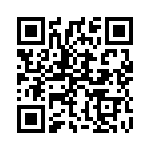 13R335C QRCode