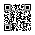 14010613101000 QRCode