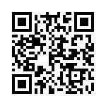 14010713101000 QRCode