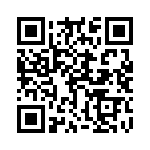 15021004601333 QRCode