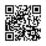 160533-1 QRCode