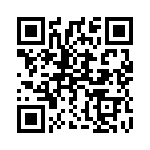 1607337 QRCode