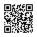 161151Q00 QRCode