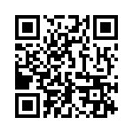 1613-3 QRCode