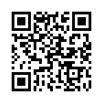 1613100000 QRCode