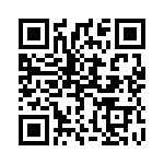 1613517 QRCode