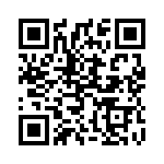 1613567 QRCode