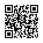 1613601 QRCode