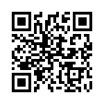 1613802 QRCode