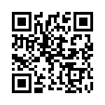 1617334 QRCode