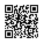 1619001 QRCode