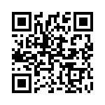 1619729 QRCode