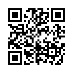 163A13099X QRCode