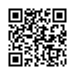 163A13809X QRCode