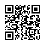 163A13899X QRCode