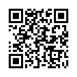 163X10029X QRCode