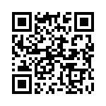 165295 QRCode