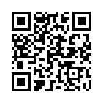 165X17399X QRCode
