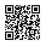 165X17409X QRCode