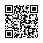 165X511299X QRCode