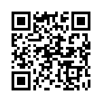 167L80 QRCode