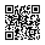 1689213 QRCode